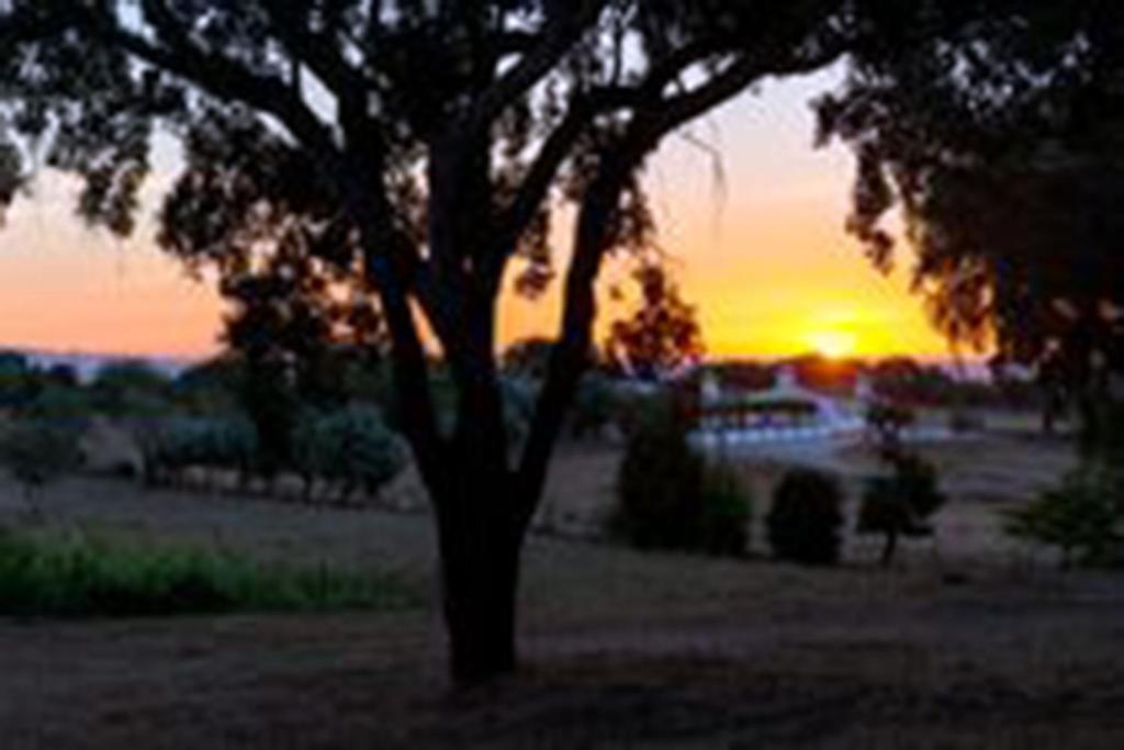 Quinta Da Espada Évora Esterno foto