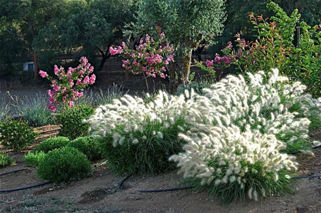 Quinta Da Espada Évora Esterno foto
